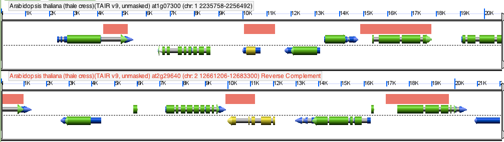 GEvo At2g29640-At1g7300.png