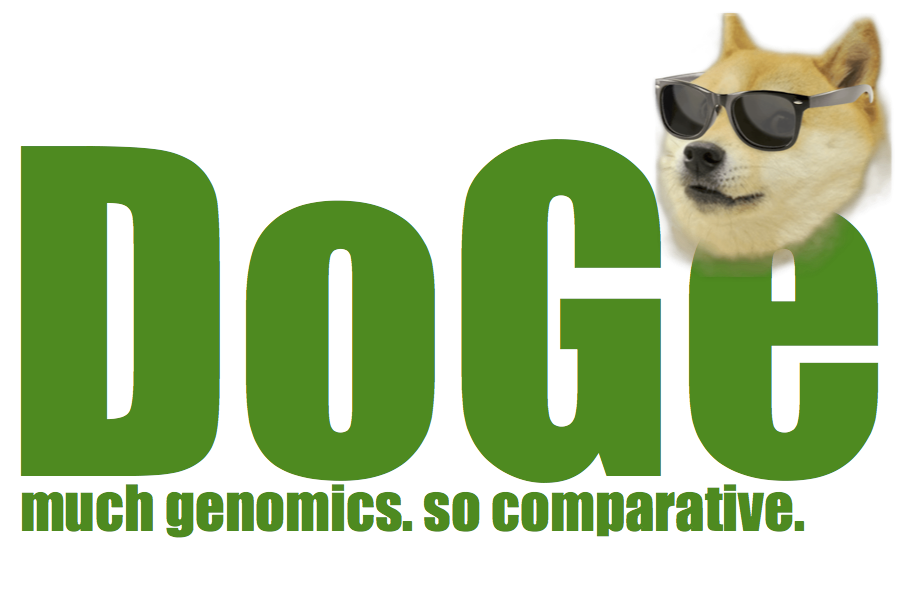 Coge doge.png