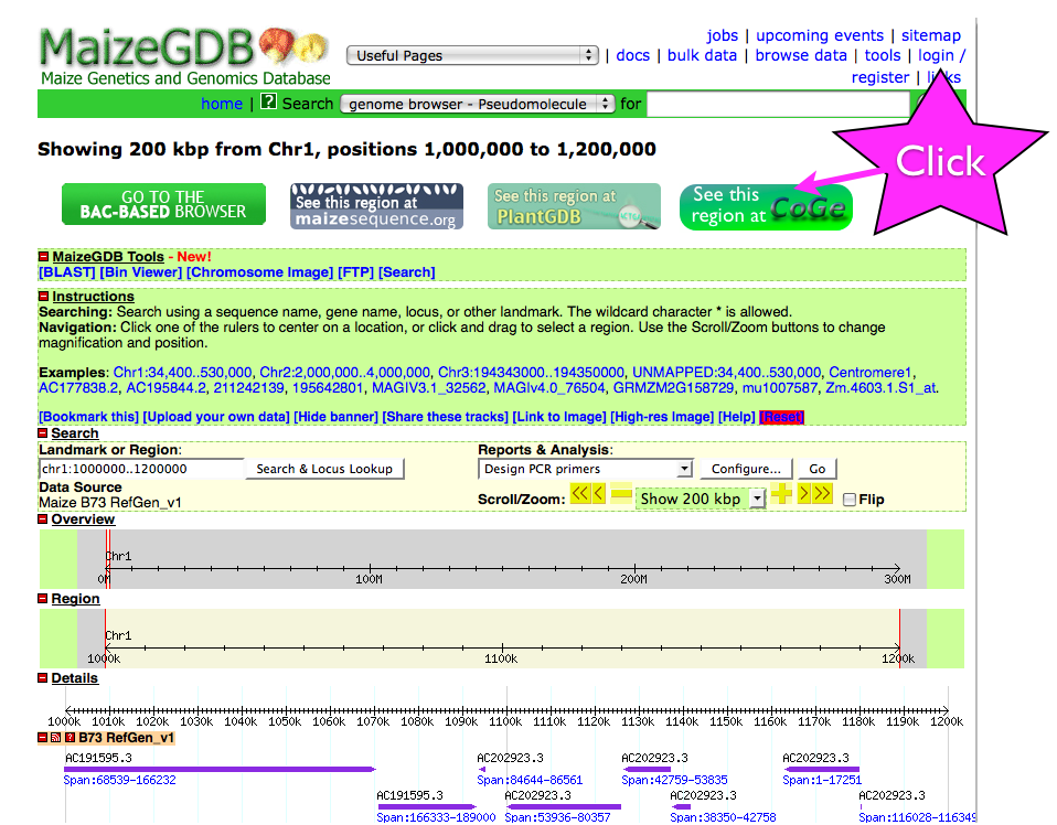 Screen-shot of MaizeGDB with link to CoGe. http://gbrowse.maizegdb.org/cgi-bin/gbrowse/maize/?name=chr1:1000000..1200000