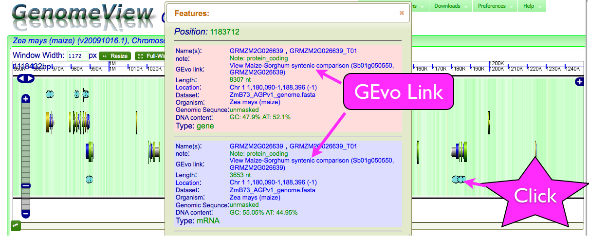 GenomeView with annotation dialog box shown for a GEvo link glyph. http://synteny.cnr.berkeley.edu/CoGe/GenomeView.pl?z=5&x=1100000&dsgid=8054&chr=1&sl=1