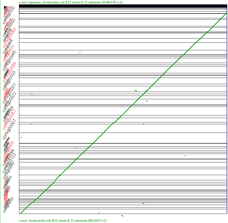 SynMap analysis of a WGS assembly of a strain of E. coli K12 (y-axis) to a reference assembly (x-axis) using SynMap's Syntenic Path Assembly to order contigs. Results may be regenerated at: http://genomevolution.org/r/2k71