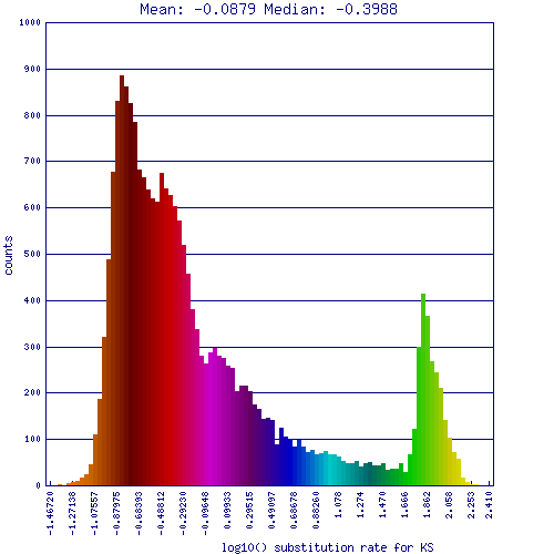 Histograms of synonymous mutation values between syntenic genes identified between maize and sorghum.