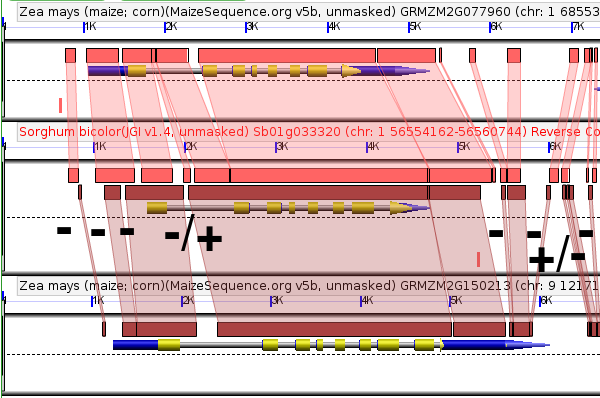 Pollen-example-tm.png