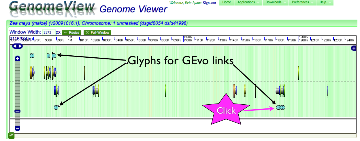 Screen-shot of GenomeView showing GEvo link glyphs. http://synteny.cnr.berkeley.edu/CoGe/GenomeView.pl?z=5&x=1100000&dsgid=8054&chr=1&sl=1