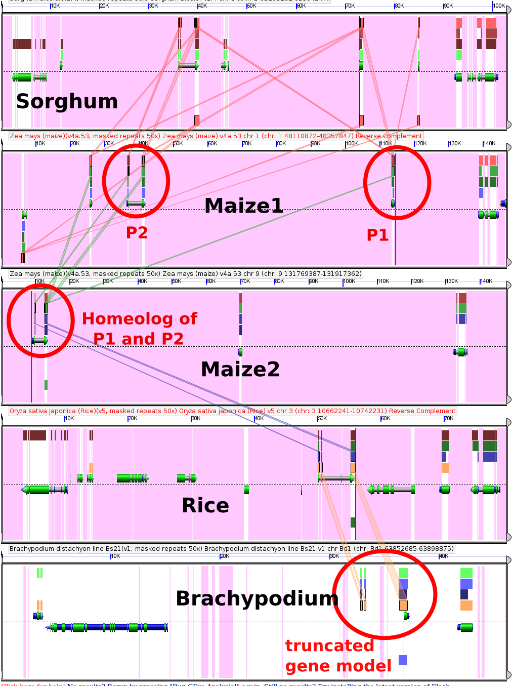 This GEvo comparison can be regenerated at: http://tinyurl.com/ycp5hsb