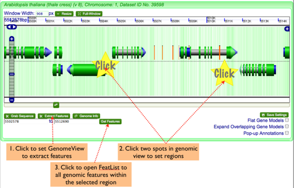 GenomeView-get feats.png