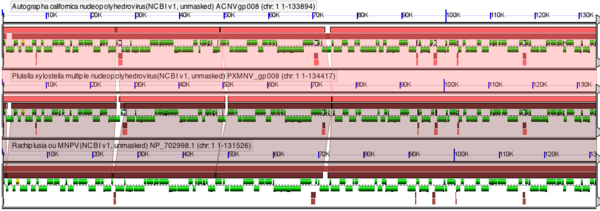 GEvo-Ac-Px-Ro-MNPV.png