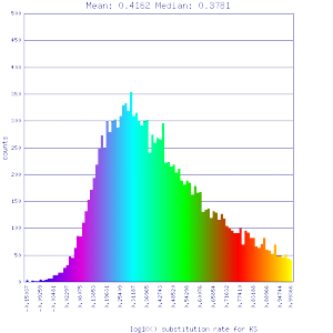 Master 8156 12289.CDS-CDS.last.dag.all.go D20 g10 A5.aligncoords.gcoords ct0.w800.ass.gene.s.ks.sr.cs1.csoS.min-0.2.max1.log.nsd.hist.png