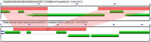 GEvo-Ac-Px-MNPV-closeup.png