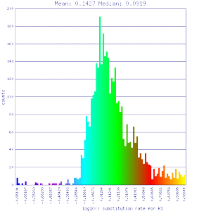 Master 8156 8156.CDS-CDS.last.dag.all.go D20 g10 A5.aligncoords.gcoords ct0.w800.ass.gene.s.ks.sr.cs1.csoS.min-1.max1.log.nsd.hist.png