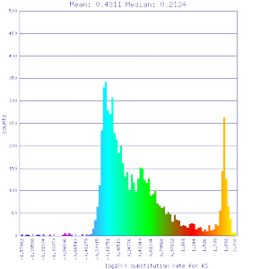 Master 12289 12289.CDS-CDS.lastz.dag.all.go D20 g10 A5.aligncoords.gcoords ct0.w1000.gene.ks.sr.cs1.csoN.log.nsd.hist.png