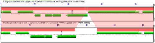 GEvo-Ac-Px-MNPV-closeup2.png