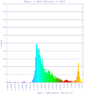 Master 12289 12289.CDS-CDS.lastz.dag.all.go D20 g10 A5.aligncoords.Dm80.ma1.qac1.1.20.gcoords ct0.w1000.gene.ks.sr.cs1.csoN.log.nsd.hist.png