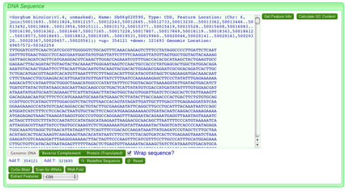 SeqView-display-DNA.png