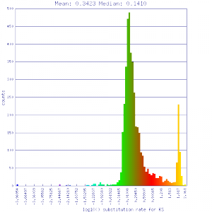 Master 8156 8156.CDS-CDS.last.dag.all.go D20 g10 A5.aligncoords.gcoords ct0.w800.ass.gene.s.ks.sr.cs1.csoS.log.nsd.hist.png