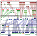 At-Cp-Fractionation.png