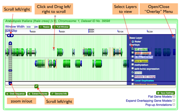 GenomeView-navigation.png