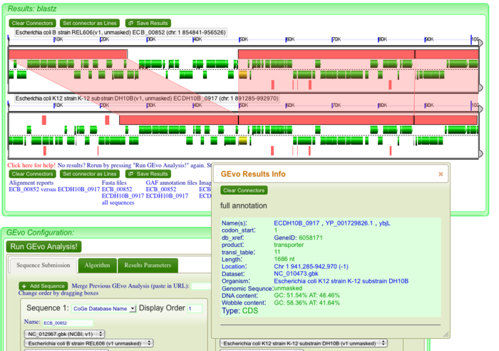 Gene annotation1.png