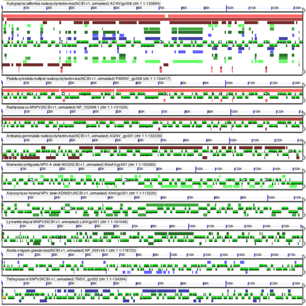 GEvo-9-baculoviruses.png