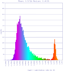 Master 8156 12289.CDS-CDS.last.dag.all.go D20 g10 A5.aligncoords.qac1.1.40.gcoords ct0.w800.gene.s.ks.sr.cs1.csoS.min-.4.log.nsd.hist.png