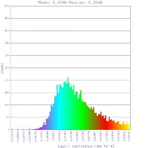 Master 8156 12289.CDS-CDS.last.dag.all.go D20 g10 A5.aligncoords.qac1.1.40.gcoords ct0.w800.gene.s.ks.sr.cs1.csoS.min-.4.max1.log.nsd.hist.png