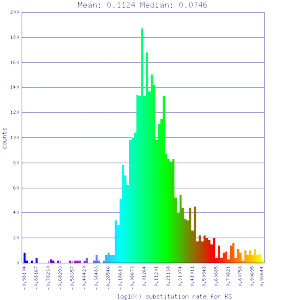 Master 8156 8156.CDS-CDS.last.dag.all.go D20 g10 A5.aligncoords.qac1.1.40.gcoords ct0.w800.gene.s.ks.sr.cs1.csoS.min-1.max1.log.nsd.hist.png