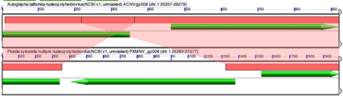 GEvo-Ac-Px-MNPV-closeup3.png