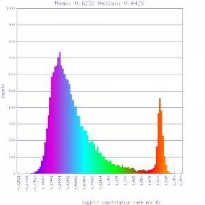 Master 8156 12289.CDS-CDS.last.dag.all.go D20 g10 A5.aligncoords.gcoords ct0.w800.ass.gene.s.ks.sr.cs1.csoS.min-0.4.log.nsd.hist.png