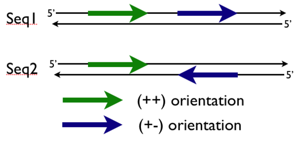 Sequence match orientation.png