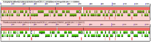 GEvo-AcMNPV-vs-PxMNPV-complete.png