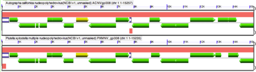 GEvo-AcMNPV-vs-PxMNPV.png