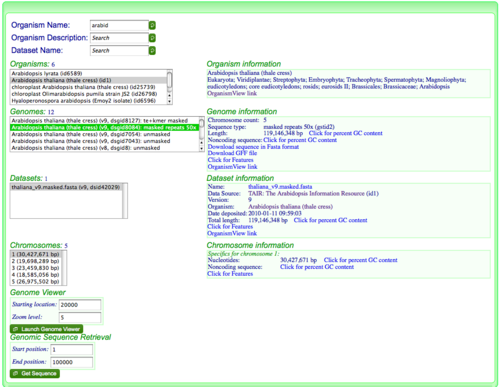 OrganismView arabid search.png